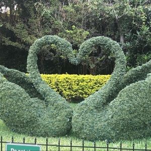 Meet your Posher, Amerah